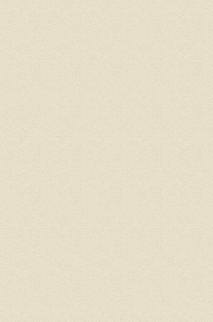 ���� Kronospan ������ 9569 PE